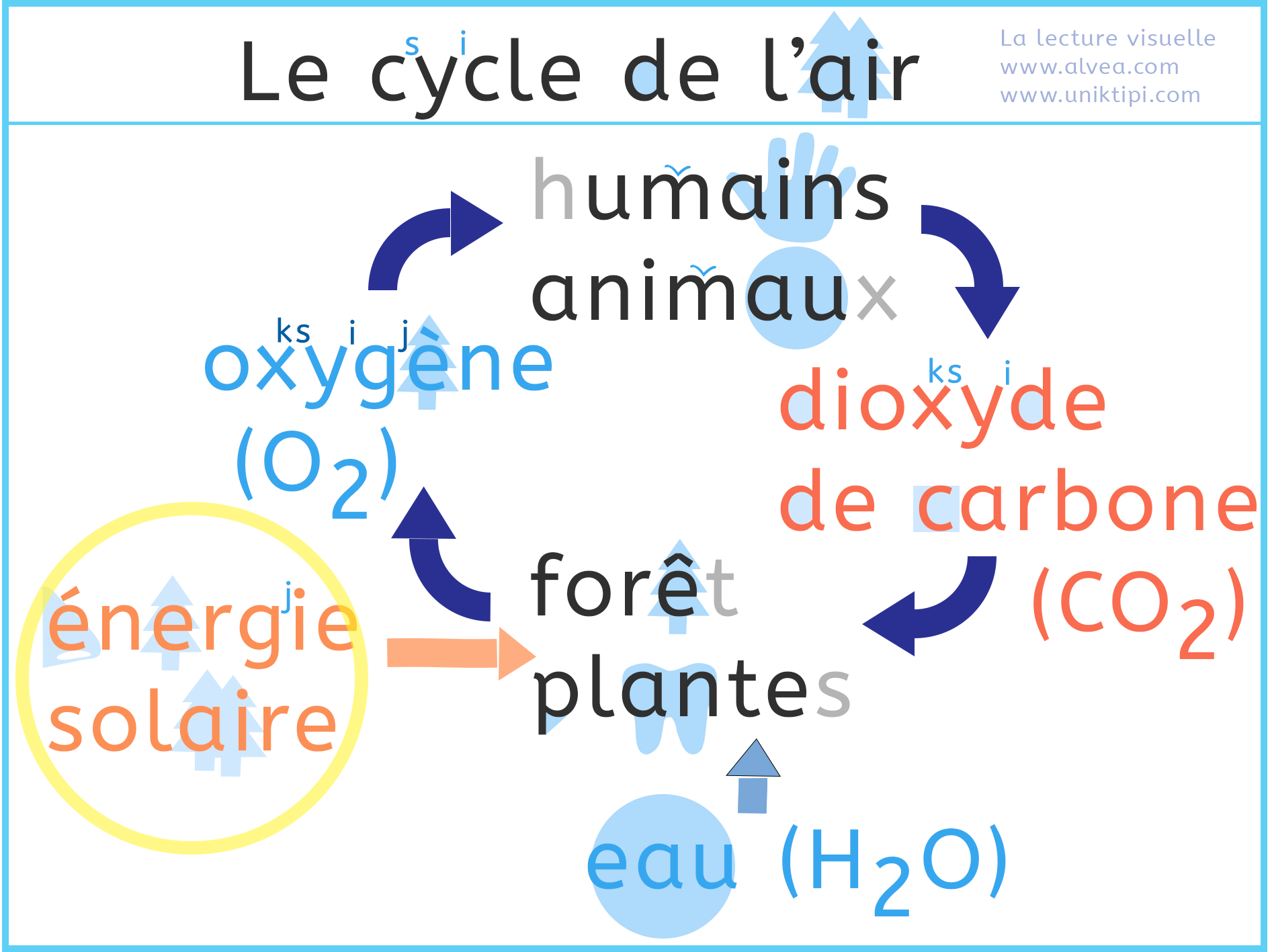 Le cycle de l'air avec la photosynthèse expliqué en lecture visuelle