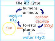 Learning to Read with Unik and Tipi - Understanding the Air Cycle-Learn to read with phonics - Le cycle de l'air en anglais -Forêts,biodiversité